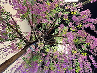 Bonen bloem treurwilg kunstboom - afbeelding 25 van  27