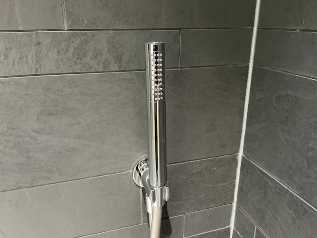 Bongio - handdouche - afbeelding 2 van  8