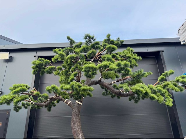 Bonsai kunstboom - afbeelding 14 van  17