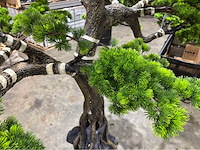 Bonsai kunstboom - afbeelding 4 van  15