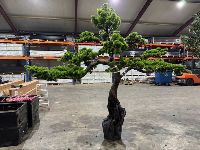 Bonsai kunstboom - afbeelding 10 van  15