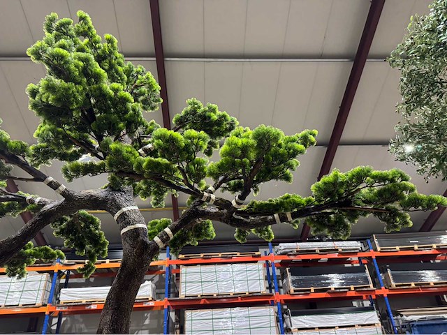 Bonsai kunstboom - afbeelding 2 van  15