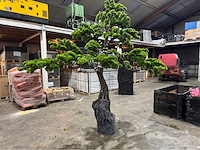 Bonsai kunstboom - afbeelding 9 van  15