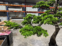 Bonsai kunstboom - afbeelding 12 van  15