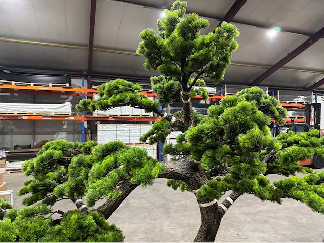 Bonsai kunstboom - afbeelding 13 van  15