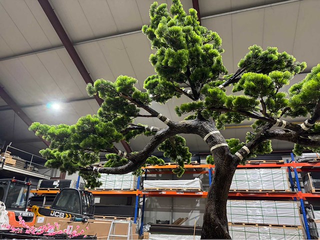 Bonsai kunstboom - afbeelding 15 van  15