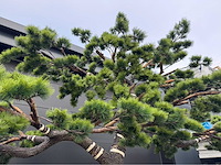 Bonsai kunstboom - afbeelding 5 van  17