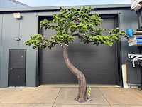 Bonsai kunstboom - afbeelding 10 van  17