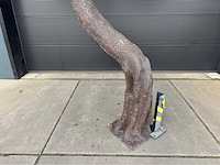 Bonsai kunstboom - afbeelding 9 van  17