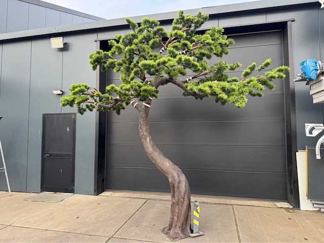 Bonsai kunstboom - afbeelding 10 van  16