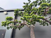 Bonsai kunstboom - afbeelding 16 van  16