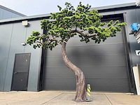 Bonsai kunstboom - afbeelding 13 van  17