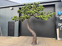 Bonsai kunstboom - afbeelding 7 van  17