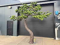 Bonsai kunstboom - afbeelding 8 van  17