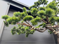 Bonsai kunstboom - afbeelding 11 van  17