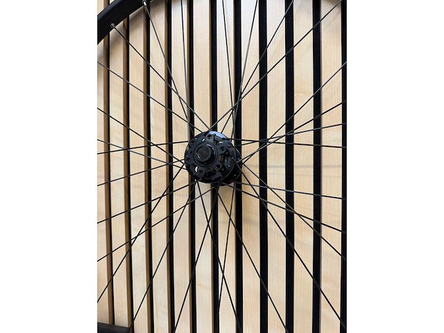 Bontrager - duster elite 29 - voorwiel - afbeelding 3 van  3