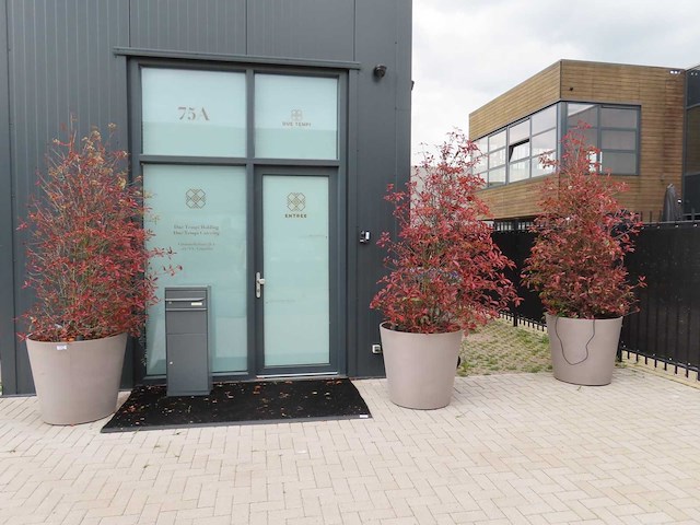 Boom in ecopots (3x) - afbeelding 1 van  5