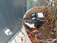 Boom in ecopots (3x) - afbeelding 3 van  5