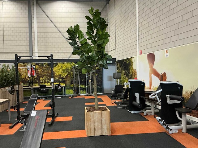 Boom met pot (2x) - afbeelding 1 van  6