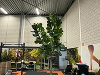 Boom met pot (2x) - afbeelding 2 van  6