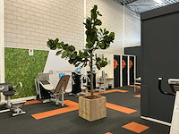 Boom met pot (2x) - afbeelding 5 van  6