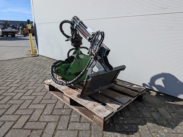 Boomgrijper, avant, a37456, 2020 - afbeelding 6 van  11