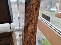 Boomstam eettafel - afbeelding 5 van  8