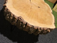 Boomstam salontafel - ø 80cm x 57cm - afbeelding 1 van  5