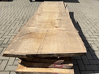 Boomstam schaaldeel (5x) - afbeelding 4 van  6