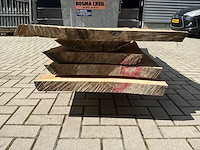 Boomstam schaaldeel (5x) - afbeelding 5 van  6