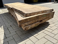 Boomstam schaaldeel (5x) - afbeelding 6 van  6