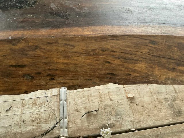 Boomstam tafel 420x200x81 cm - afbeelding 6 van  11