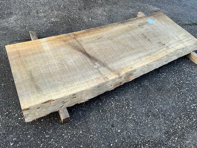 Boomstam tafelblad - afbeelding 1 van  11