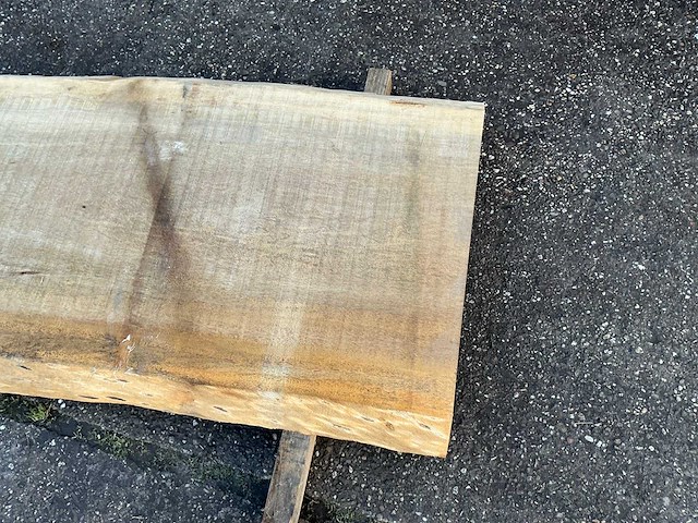 Boomstam tafelblad - afbeelding 7 van  11