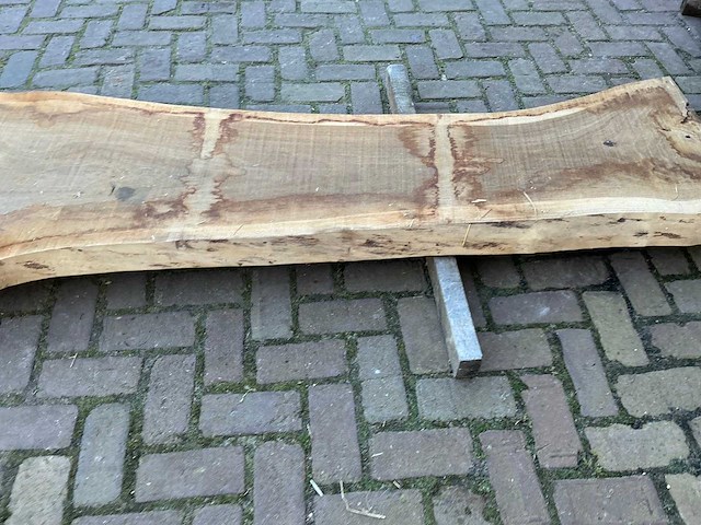 Boomstam tafelblad - afbeelding 2 van  17