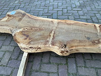 Boomstam tafelblad - afbeelding 17 van  17