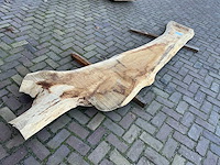 Boomstam tafelblad - afbeelding 1 van  14