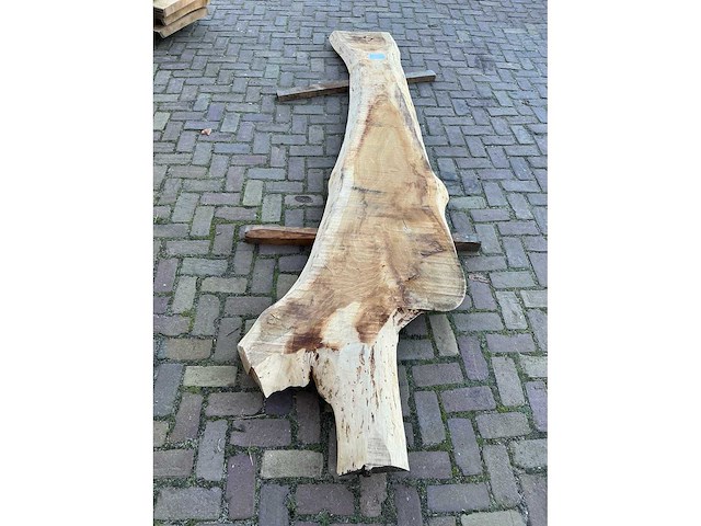 Boomstam tafelblad - afbeelding 7 van  14