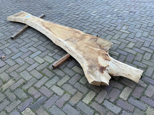 Boomstam tafelblad - afbeelding 8 van  14
