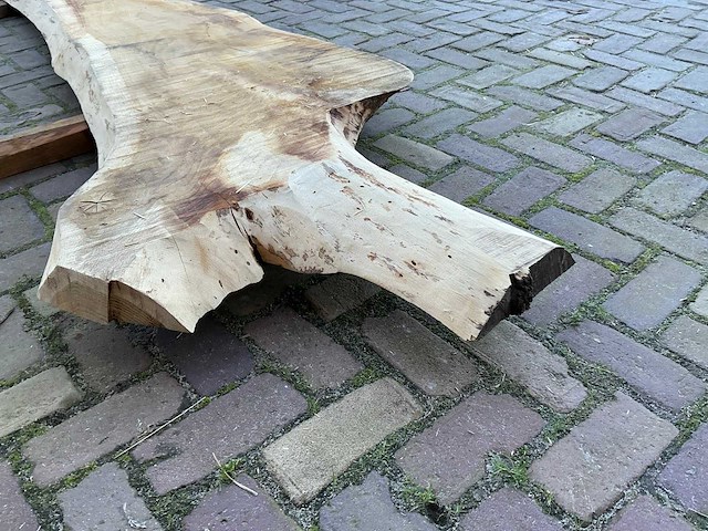 Boomstam tafelblad - afbeelding 9 van  14