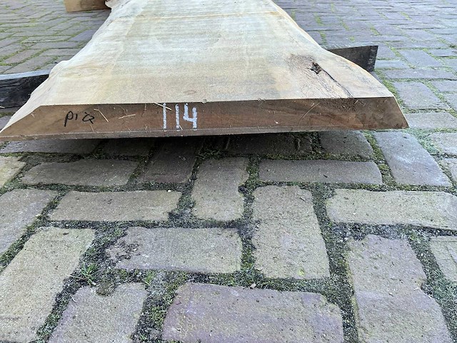 Boomstam tafelblad - afbeelding 3 van  12