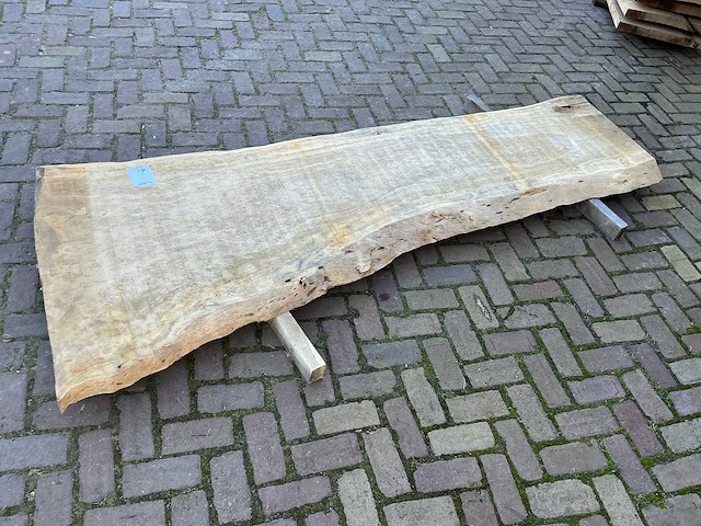 Boomstam tafelblad - afbeelding 1 van  12
