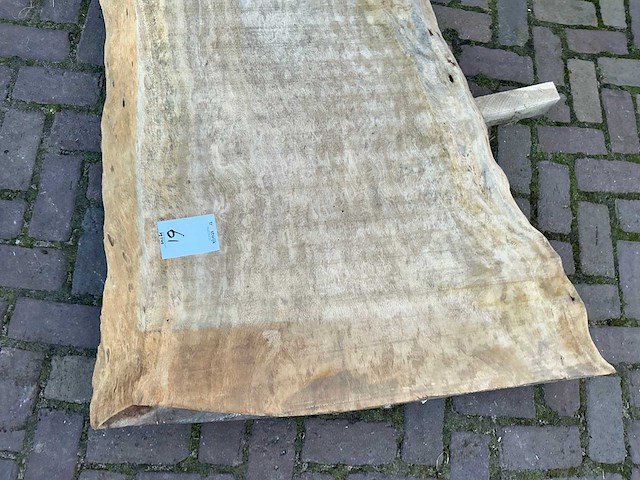 Boomstam tafelblad - afbeelding 8 van  12