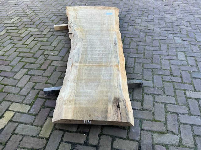 Boomstam tafelblad - afbeelding 12 van  12