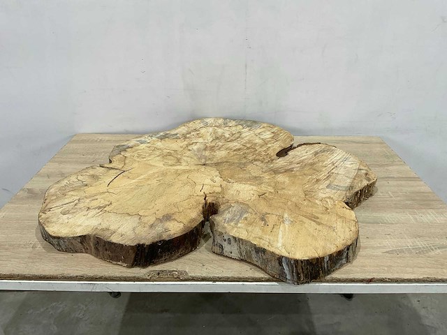 Boomstam tafelblad - afbeelding 1 van  2