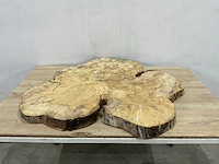Boomstam tafelblad - afbeelding 1 van  2