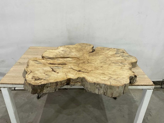 Boomstam tafelblad - afbeelding 1 van  2