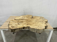 Boomstam tafelblad - afbeelding 1 van  2