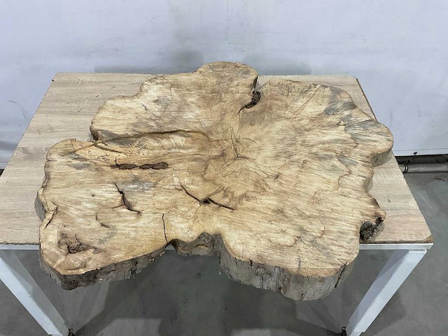 Boomstam tafelblad - afbeelding 2 van  2