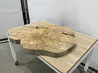 Boomstam tafelblad - afbeelding 1 van  6